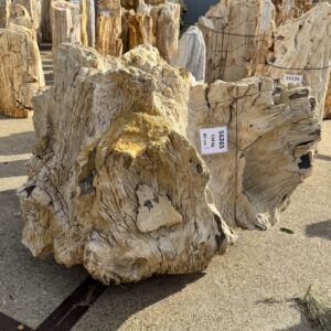 Memorial stone petrified wood 56265