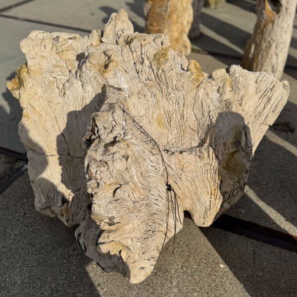 Memorial stone petrified wood 56265