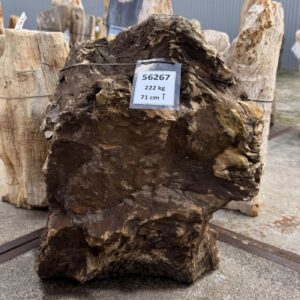 Memorial stone petrified wood 56267