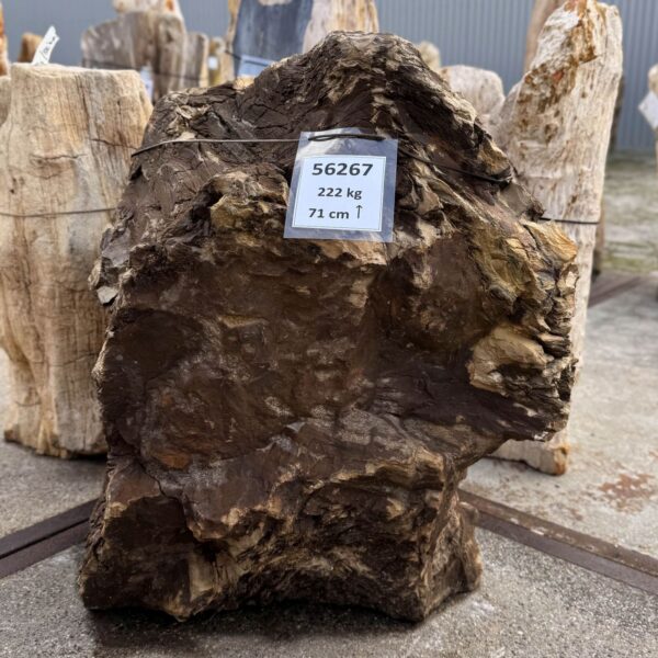 Memorial stone petrified wood 56267