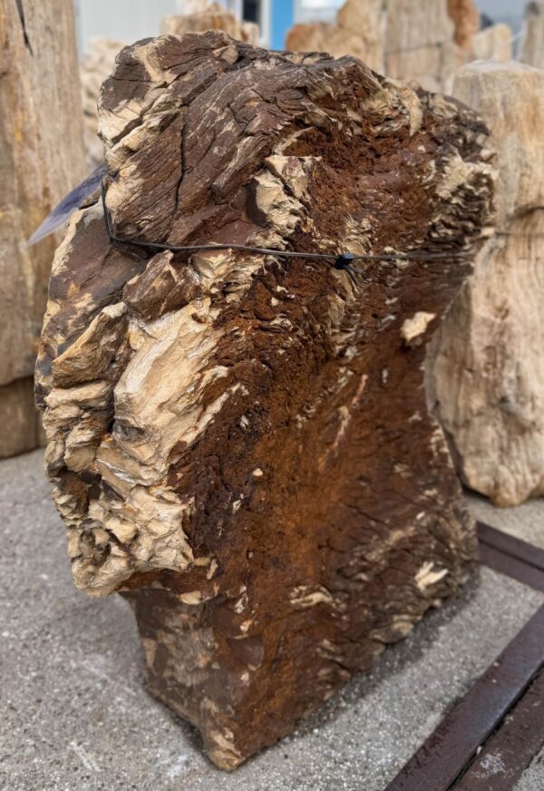 Memorial stone petrified wood 56267