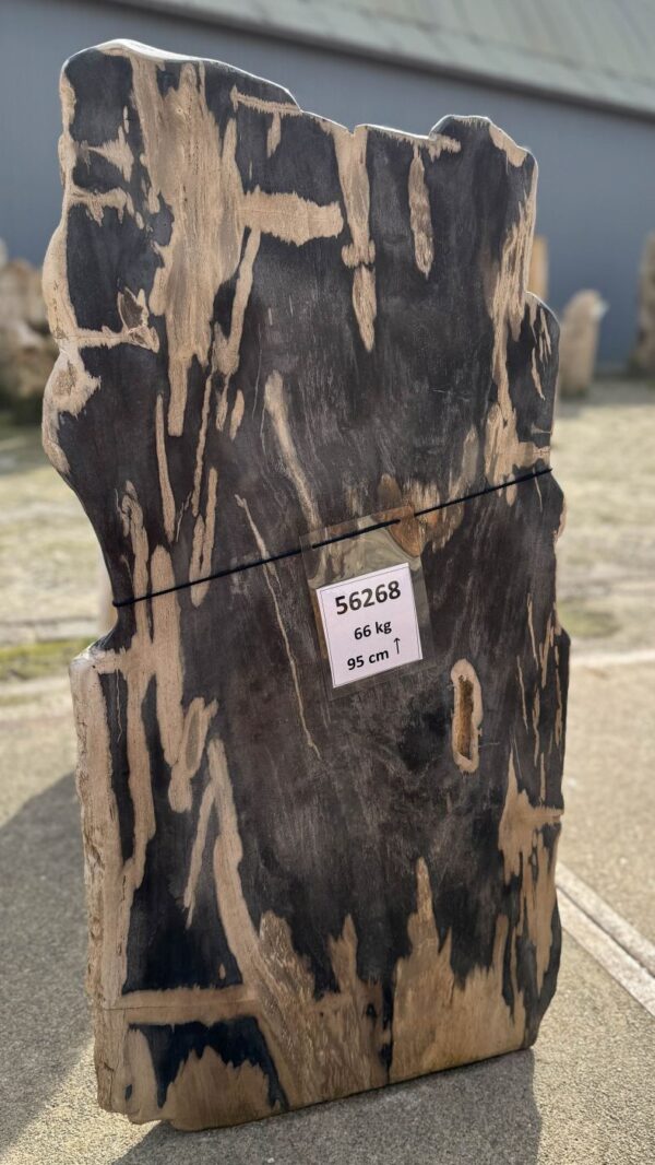 Memorial stone petrified wood 56268