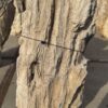 Memorial stone petrified wood 56268