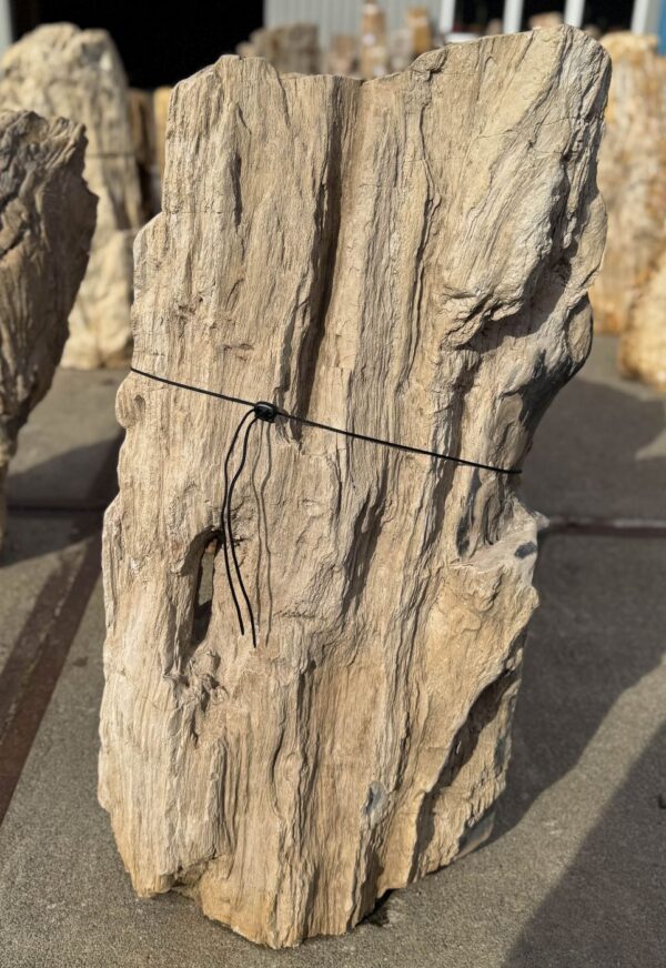 Memorial stone petrified wood 56268