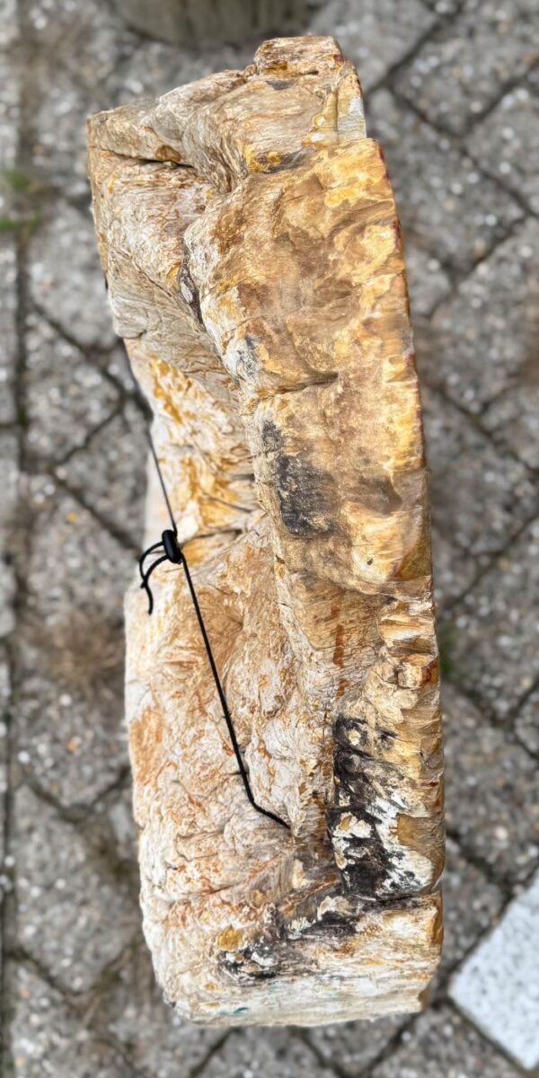 Memorial stone petrified wood 57047