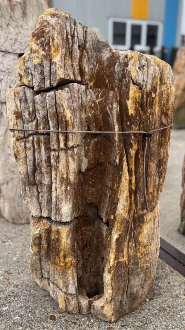 Memorial stone petrified wood 57048