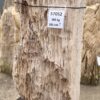 Memorial stone petrified wood 57052