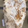 Memorial stone petrified wood 57052