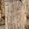 Memorial stone petrified wood 57052