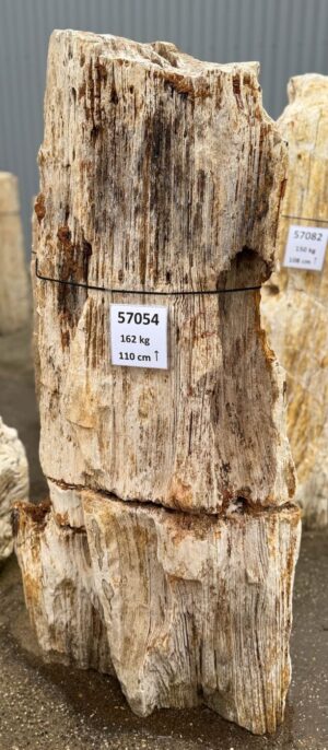 Memorial stone petrified wood 57054