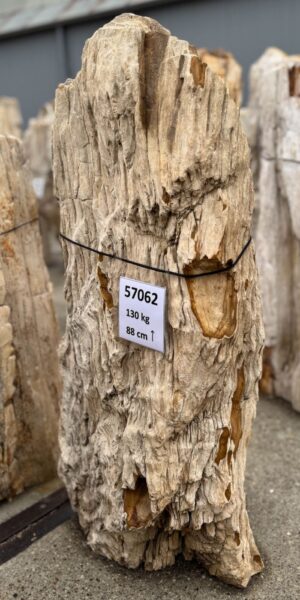 Memorial stone petrified wood 57062