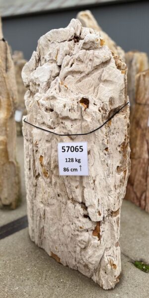 Memorial stone petrified wood 57065