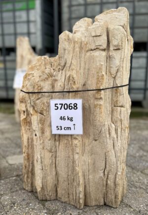 Memorial stone petrified wood 57068