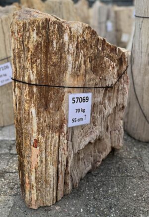 Memorial stone petrified wood 57069