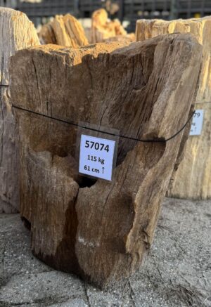 Memorial stone petrified wood 57074