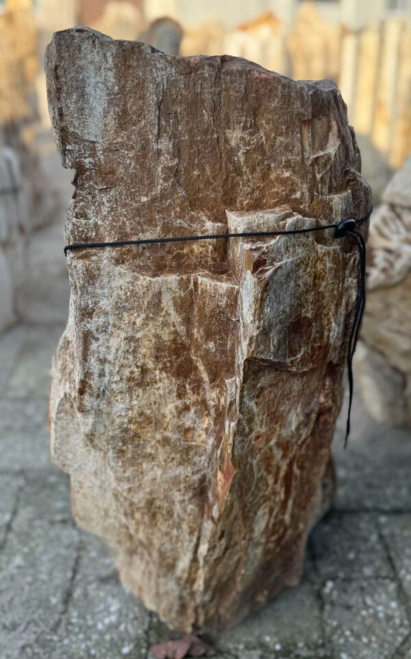 Memorial stone petrified wood 57075