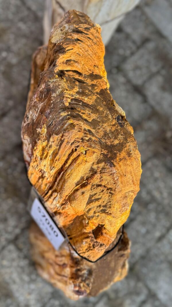 Memorial stone petrified wood 57080