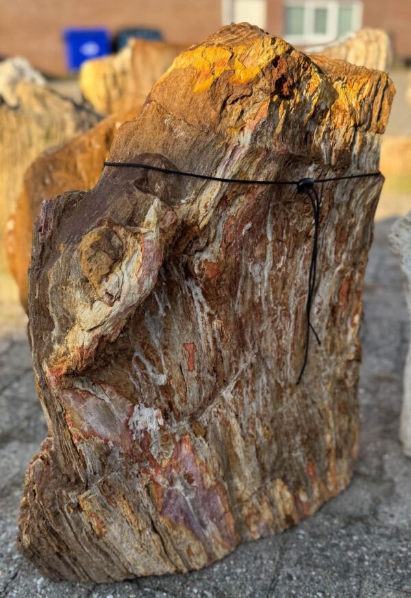 Memorial stone petrified wood 57080