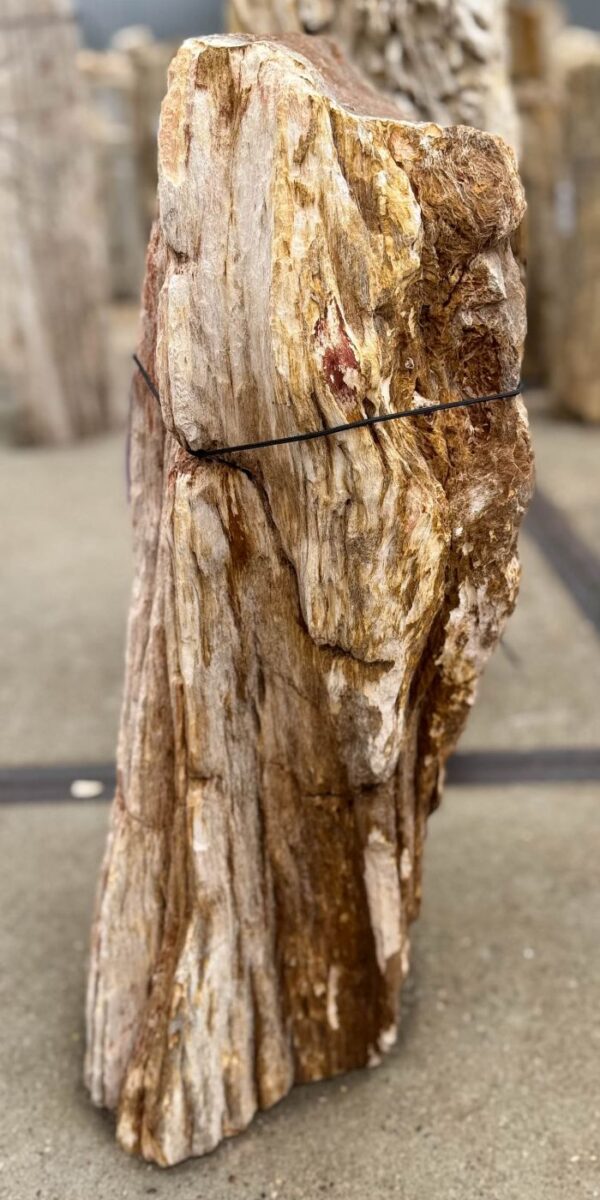 Memorial stone petrified wood 57083