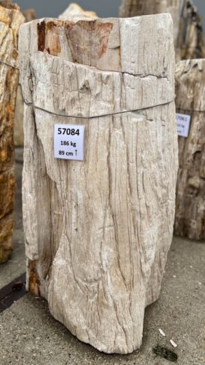 Memorial stone petrified wood 57084