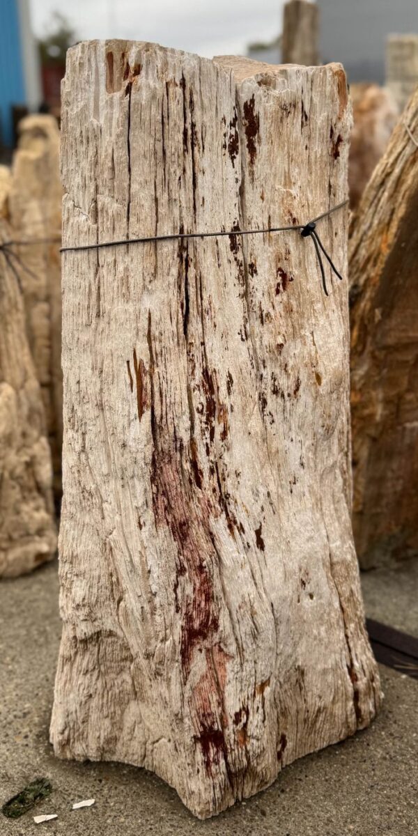 Memorial stone petrified wood 57084