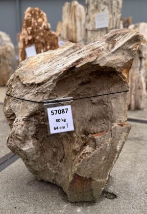 Memorial stone petrified wood 57087