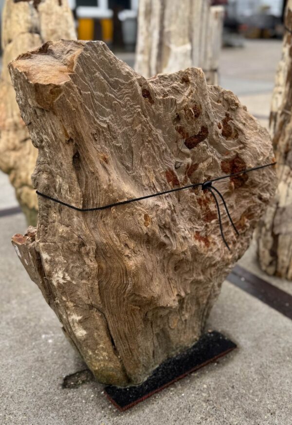 Memorial stone petrified wood 57087