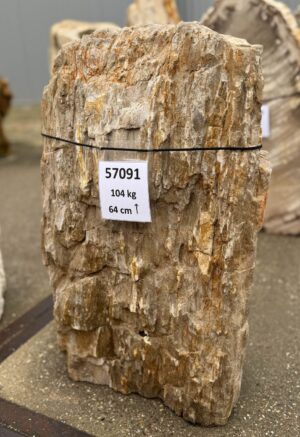 Memorial stone petrified wood 57091