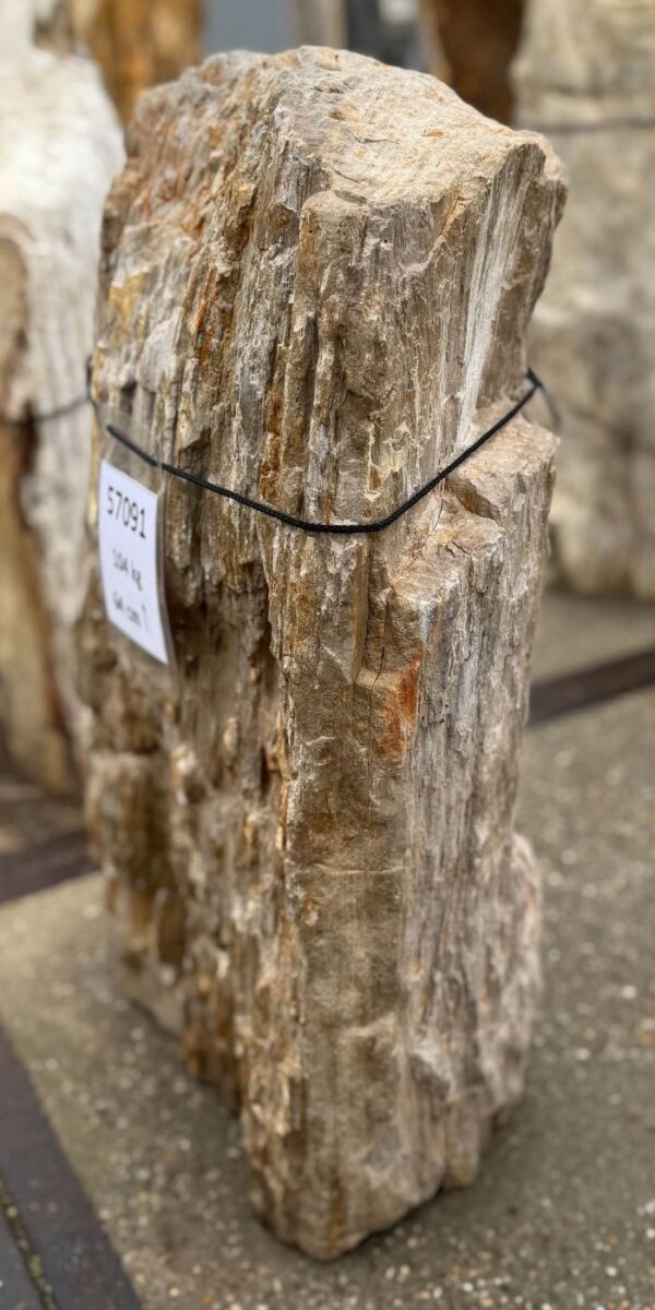 Memorial stone petrified wood 57091