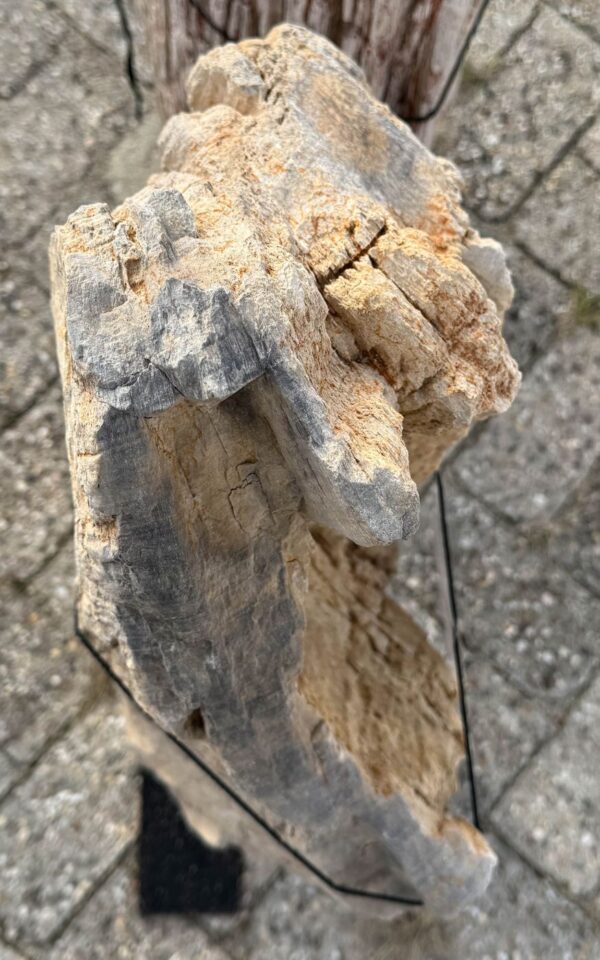 Memorial stone petrified wood 57099