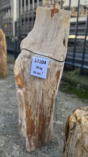 Memorial stone petrified wood 57104