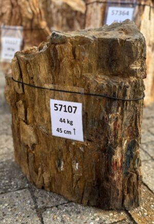 Memorial stone petrified wood 57107