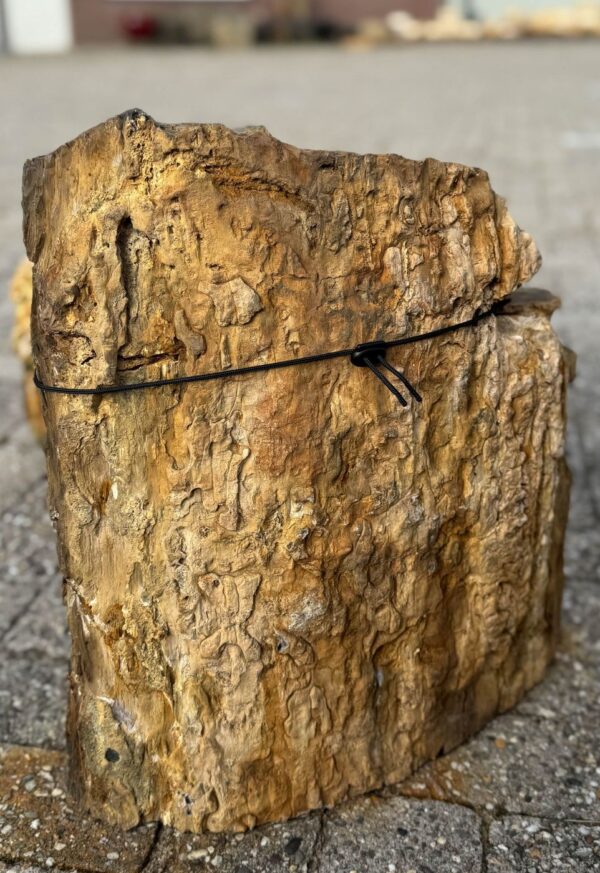 Memorial stone petrified wood 57107