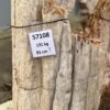 Memorial stone petrified wood 57108