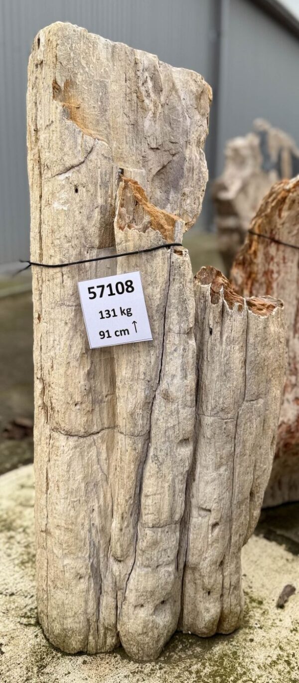 Memorial stone petrified wood 57108