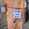 Memorial stone petrified wood 57109