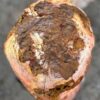 Memorial stone petrified wood 57109