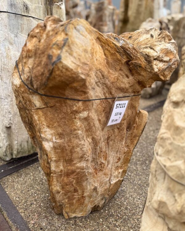 Memorial stone petrified wood 57111