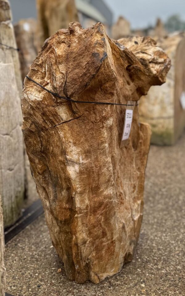 Memorial stone petrified wood 57111