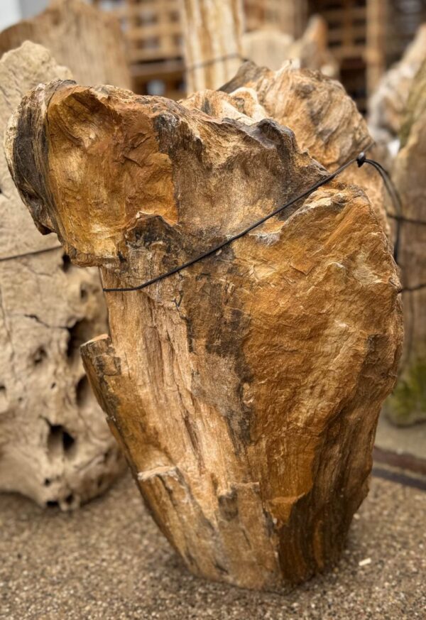 Memorial stone petrified wood 57111