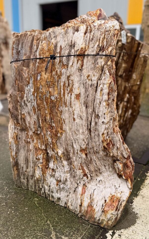 Memorial stone petrified wood 57112