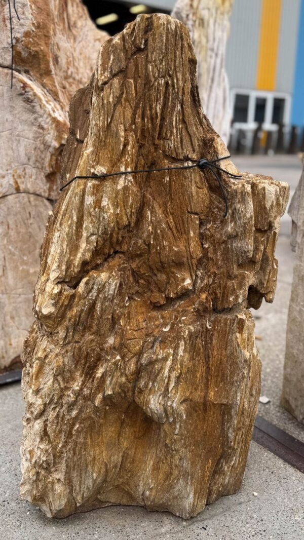 Memorial stone petrified wood 57116