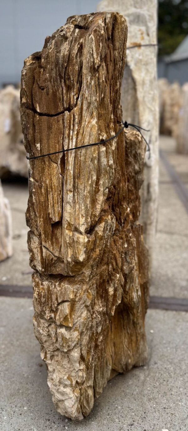 Memorial stone petrified wood 57116