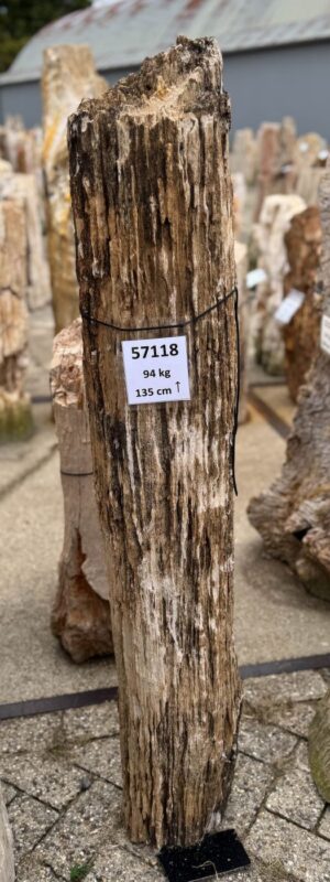 Memorial stone petrified wood 57118