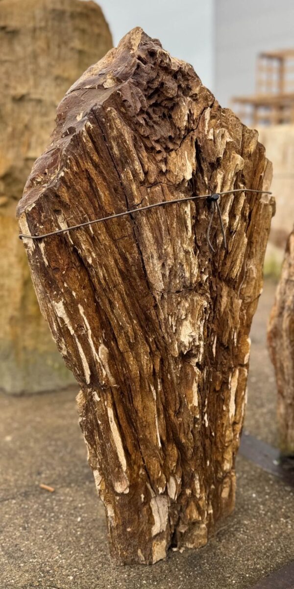 Memorial stone petrified wood 57121