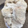 Memorial stone petrified wood 57127