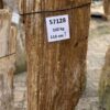 Memorial stone petrified wood 57128