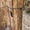 Memorial stone petrified wood 57128