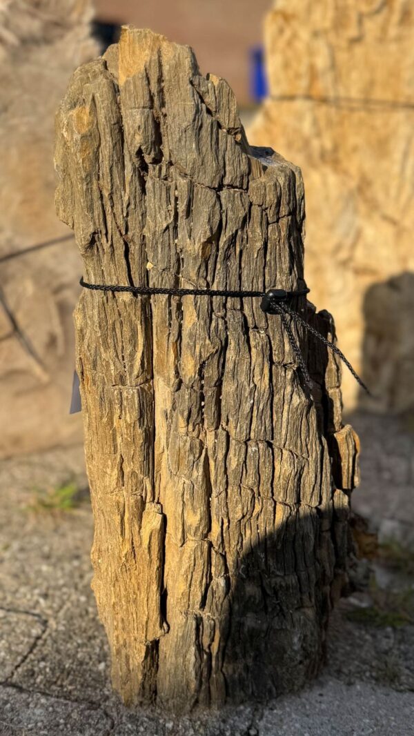 Memorial stone petrified wood 57130