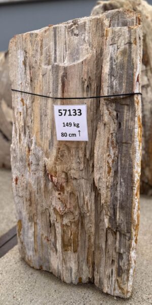 Memorial stone petrified wood 57133